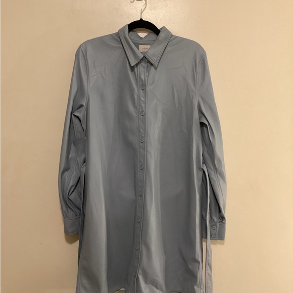 Aritzia Wilfred Caroline Vegan Leather Shirt Dress - Picture 6 of 14